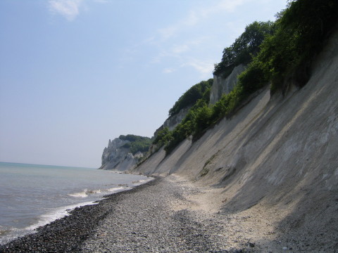 Moens_klint_2005_0006.JPG