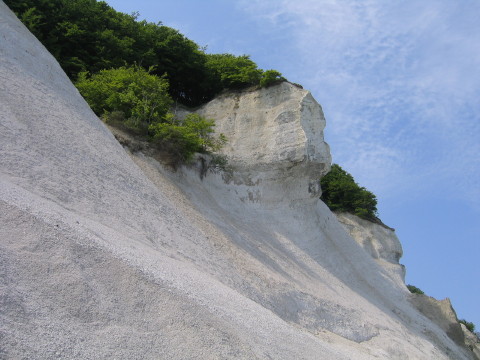 Moens_klint_2005_0008.JPG