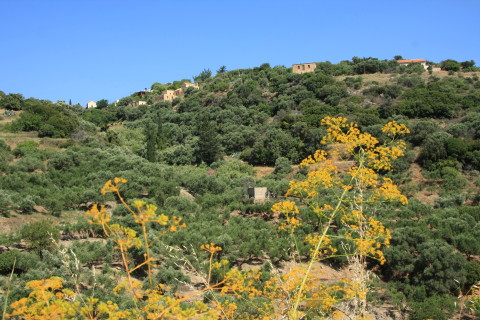 Kreta-2009-7436-bebyggelse-paa-bjergsiden.JPG
