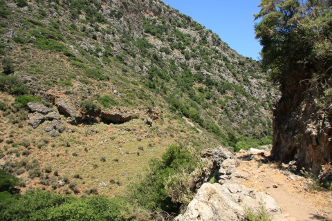 Kreta-2009-7501.JPG