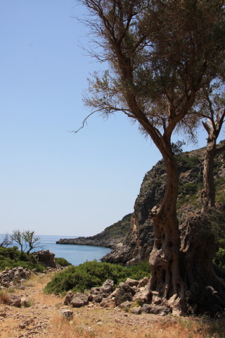 Kreta-2009-8158.JPG