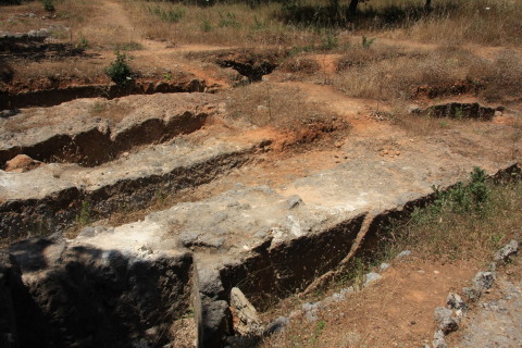 Kreta-2009-8270-nekropolen-Armeni-over-200-grave-omgivet-af-egeskov.JPG