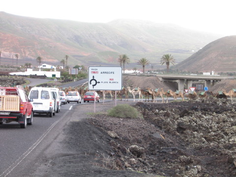 Lanzarote_2006_0042.JPG