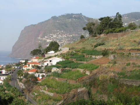 Madeira_2004_0005.JPG