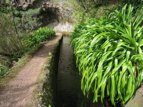 Madeira_2004_0020.JPG