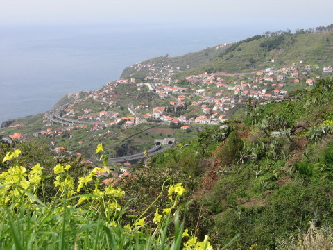 Madeira_2006_0009.JPG