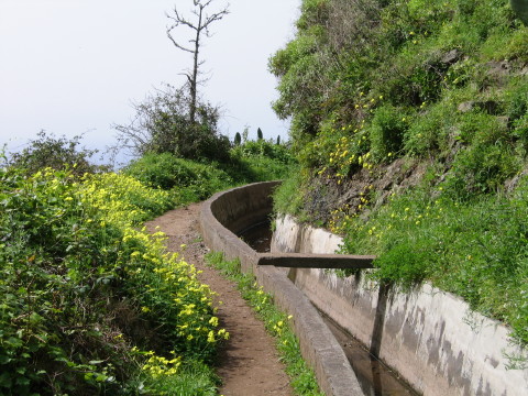 Madeira_2006_0010.JPG