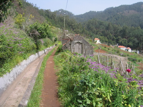 Madeira_2006_0011.JPG