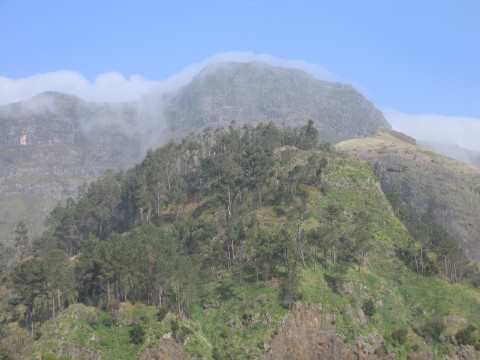 Madeira_2006_0014.JPG