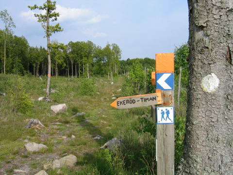 Vandretur i Sverige uge 22, 2004 - Nord til Sydleden del 1