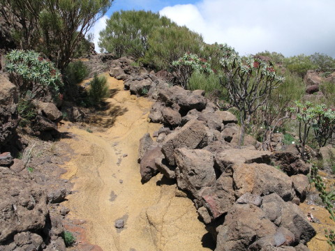 Tenerife_2008_0021.JPG